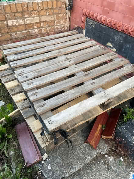 Photo of free pallets (Leeds LS12) #1