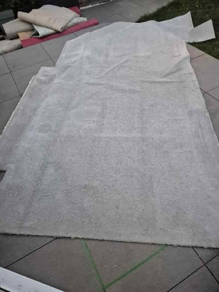 Photo of free Carpet (Tytherington SK10) #1