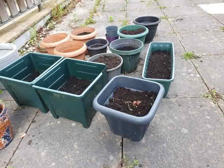 Photo of free Plastic plant pots (Lauriston EH3) #3