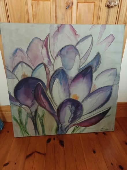 Photo of free Silk picture (Raheny Dublin 5) #1