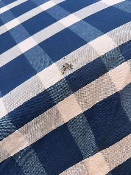 Photo of free Kettler sun umbrella (Sale M33) #2