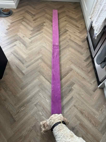 Photo of free Kids gymnastics beam (Nursery Hollow, Ilkeston) #1