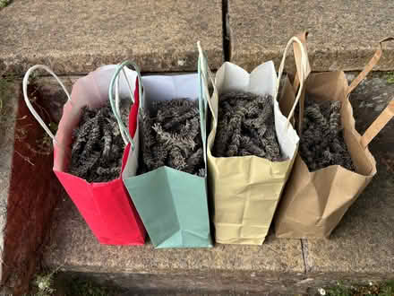 Photo of free Dried lavender (Lower Weston BA1) #1