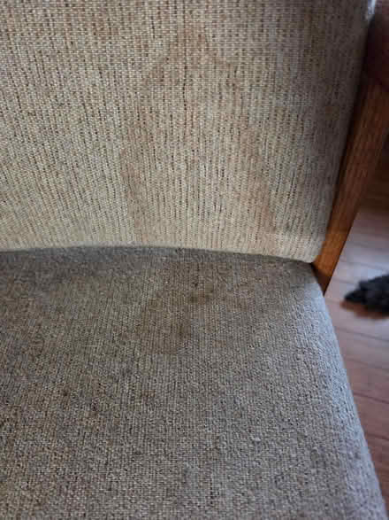 Photo of free Tall chair (Lakewood) #2