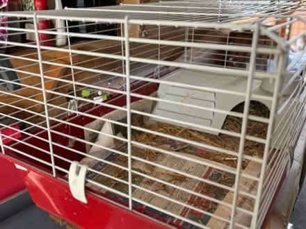 Photo of free Indoor guinea pig cage (Kinnerton LD8) #3