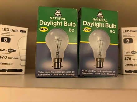 Photo of free Lots of bulbs (Headington OX3) #2