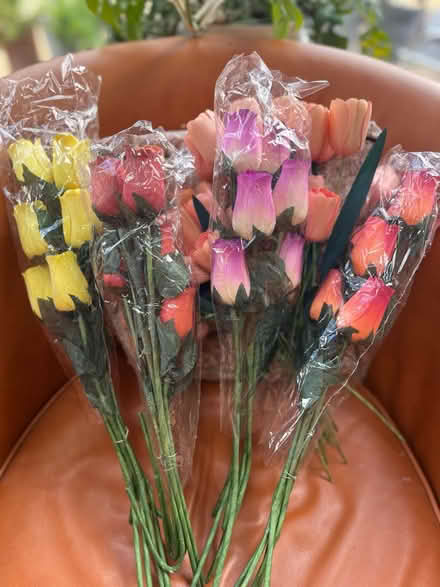 Photo of free Pretty wood flowers (Winterbourne BS36) #2