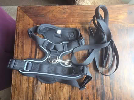 Photo of free small dog or cat harness. (Upper Luton ME5) #1