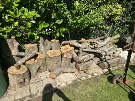 Photo of free Job lot of wood (Lostock Hall PR5) #4