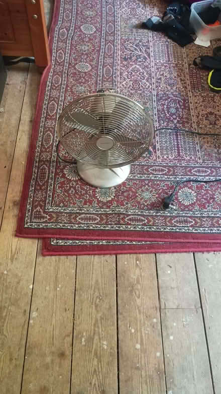 Photo of free Only Fans , well a Fan (The Nurserylands TW12) #1