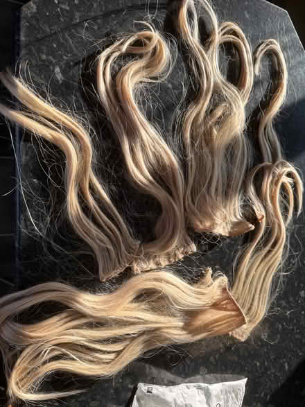 Photo of free Blonde hair extensions (Marshalswick AL4) #1