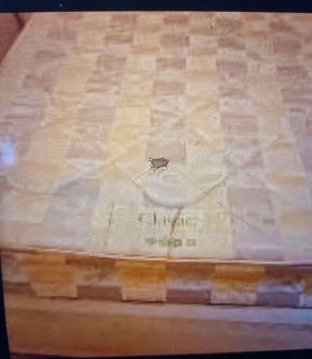 Photo of free 4ft divan bed, 4 storage drawers, with mattress (Hanover BN2) #2