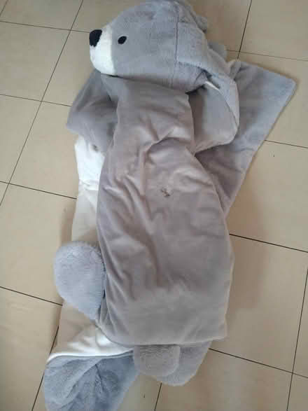 Photo of free Teddy bear sleeping bag (DE23 sinfin) #3