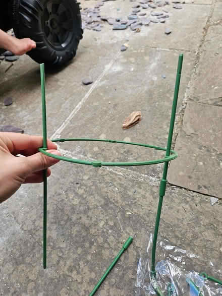Photo of free Plant support (Bromham MK43) #2