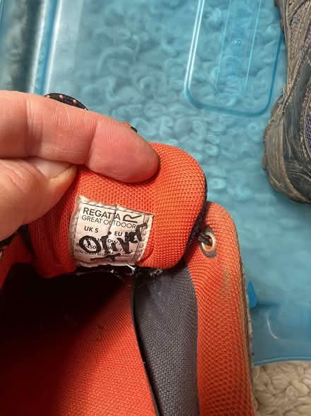 Photo of free Walking shoes (TN37 near Asda) #4