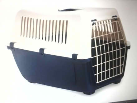 Photo of free Kitten / Cat Carrier (Kirkton of Auchterhouse DD3) #1