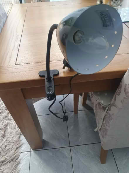 Photo of free Black clip on light. (Elstow MK42) #2