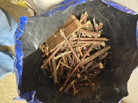 Photo of free Fire wood suitable for fire pit ect, all cut to size and in (Mile Cross NR3) #1