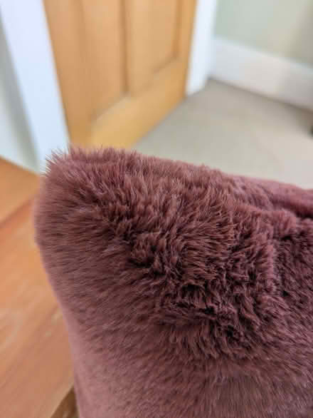 Photo of free Habitat door stop / draught excluder. (Galashiels TD1) #4