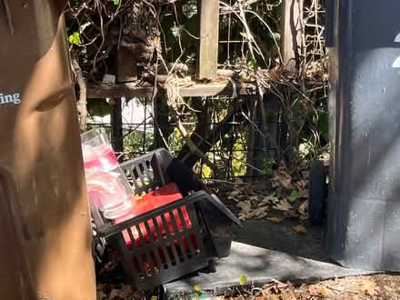 Photo of free A glass vase and empty cookie tin (133 Martens Blvd, San Rafael) #1