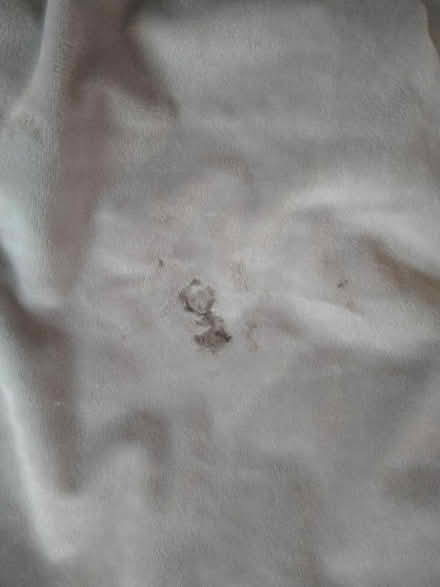 Photo of free Teddy bear sleeping bag (DE23 sinfin) #2