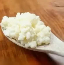 Photo of Kefir grains (Penzance TR18) #1