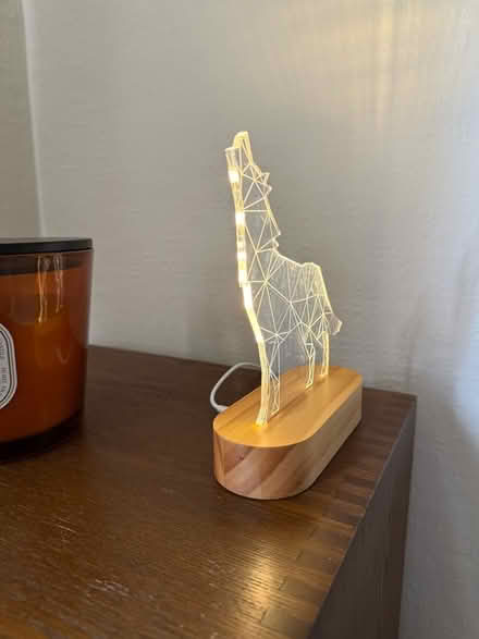 Photo of free Led wolf light (Leavesden WD25) #2
