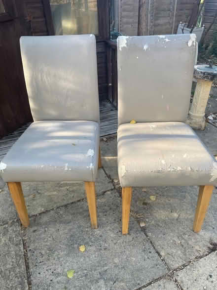 Photo of free Two dining chairs (Woodley RG5) #1