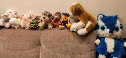 Photo of free Stuffed Animals (Stuyvesant Town) #1