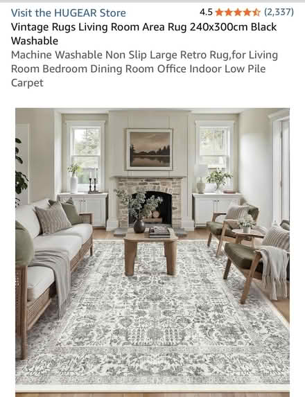 Photo of free 240x300cm Washable Area Rug (Dunderrow) #1