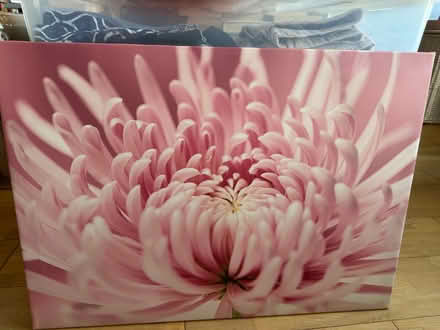 Photo of free Wall hanging (print) (Cowley OX4) #1