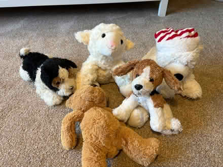 Photo of free soft toys (Finham CV3) #3