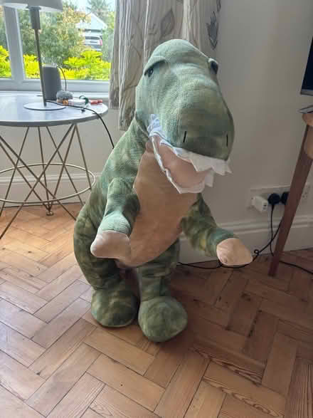 Photo of free Large cuddly stuffed dinosaur (Frankwell SY3) #1