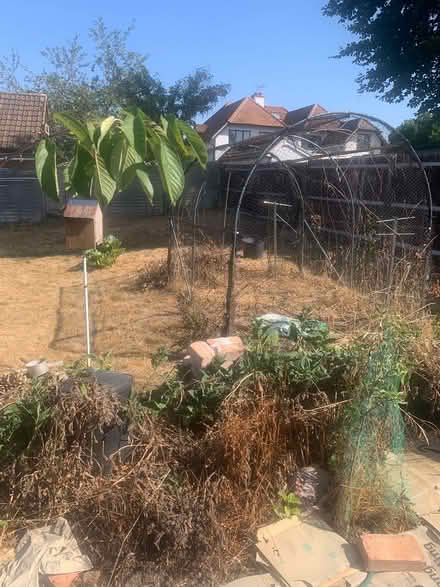Photo of free Fruit cage (St Albans AL2 1HA) #2