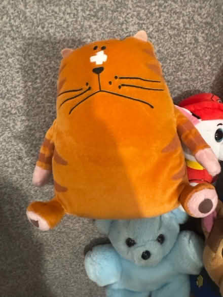 Photo of free Kid’s teddies and books (Staines TW18) #3
