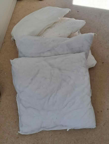 Photo of free Cushions x 5 (Matfield TN12) #1