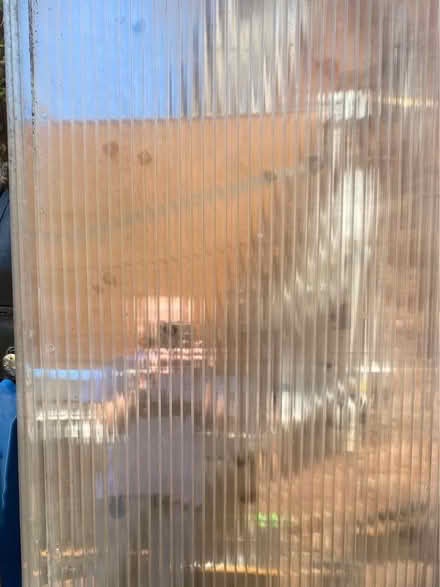 Photo of free Polycarbonate Sheeting (Gobowen SY11) #1