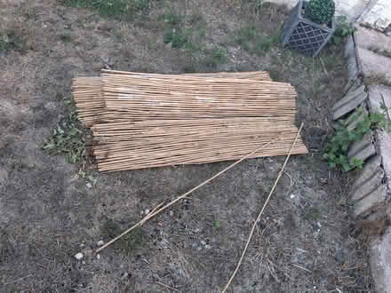 Photo of free Bamboo Fence Screens (Spixworth NR10) #1