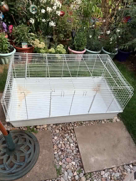 Photo of free Guinea pig cage (Banbury OX16) #1