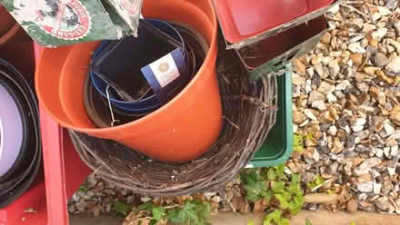 Photo of free Garden Shed clear out! (Buggs Bottom RG4) #4