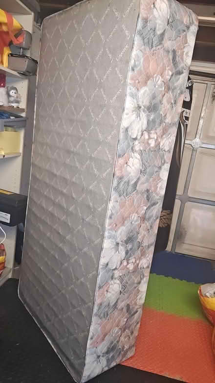 Photo of free Single bedbase (Wr65lf) #1