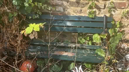 Photo of free Garden bench - project (Twickenham TW1) #1