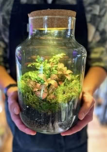 Photo of Any unneeded terrariums (Bolton, BL1) #4