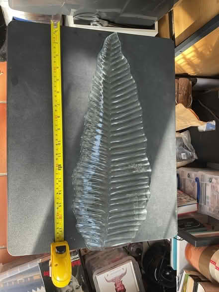 Photo of free Plastic Low Relief Platter (RG30 Tilehurst) #1