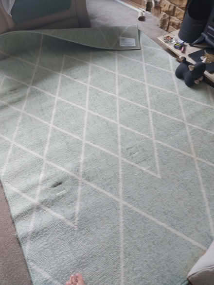 Photo of free rug 220 by 160 (Grangefield Road Industrial Estate LS28) #2