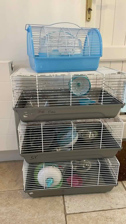Photo of free Hamster cages (Kilkenny city) #1