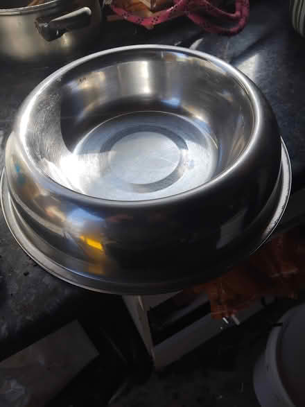 Photo of free Long dog lead and large dog bowl (Hengrove Way BS14) #1