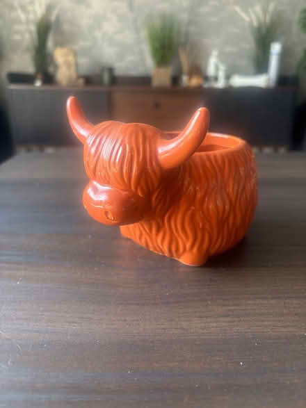 Photo of free Little plant pot (Barry CF62) #1