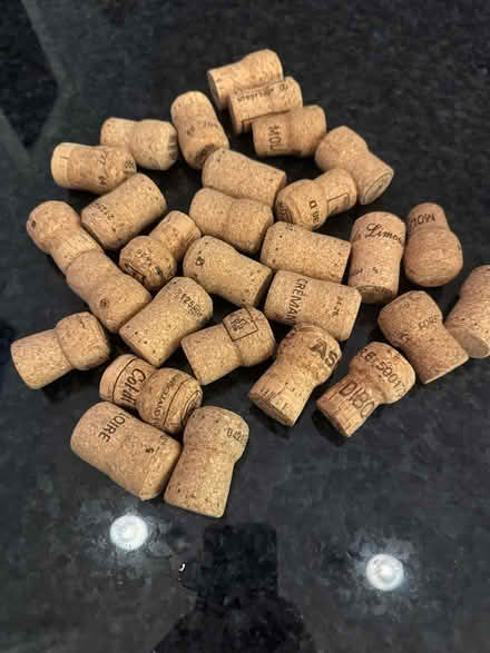 Photo of free Corks (Chevy Chase, DC) #1