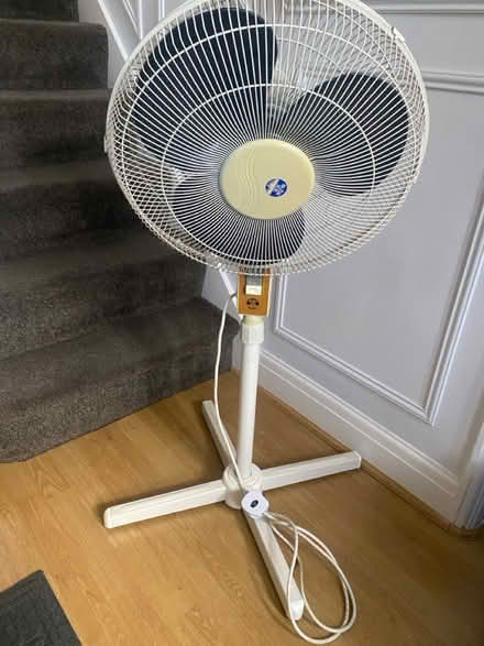 Photo of free Pedestal Fan (Abbey Wood SE2) #2